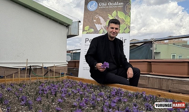 Terasta safran hasadı!