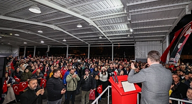 Danamandıra’da ormanlar yok oluyor!