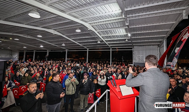 Danamandıra’da ormanlar yok oluyor!