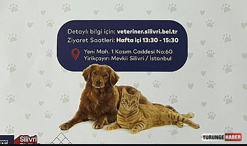 Silivri Kent Konseyi’nden sahiplendirme çağrısı