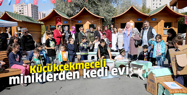 Küçükçekmeceli miniklerden kedi evi