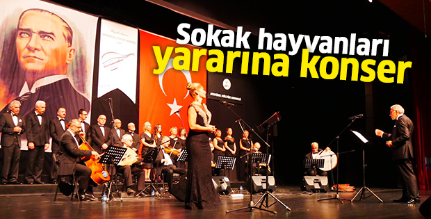 Sokak hayvanları yararına konser