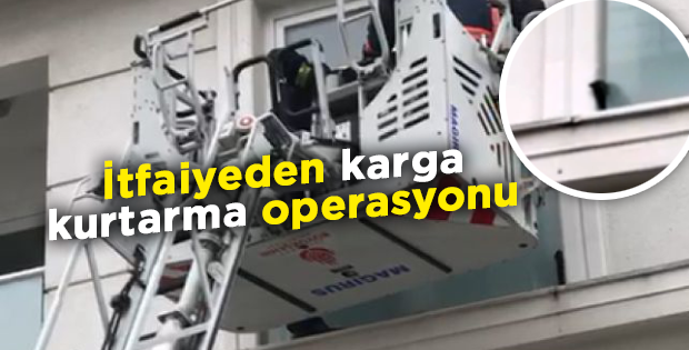 İtfaiyeden karga kurtarma operasyonu