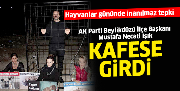 Hayvanlar gününde inanılmaz tepki