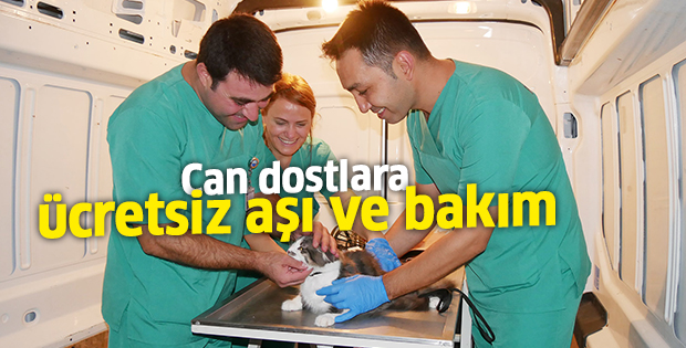 Can dostlara ücretsiz aşı ve bakım