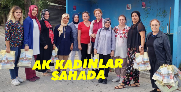 AK Kadınlar kapı kapı geziyor