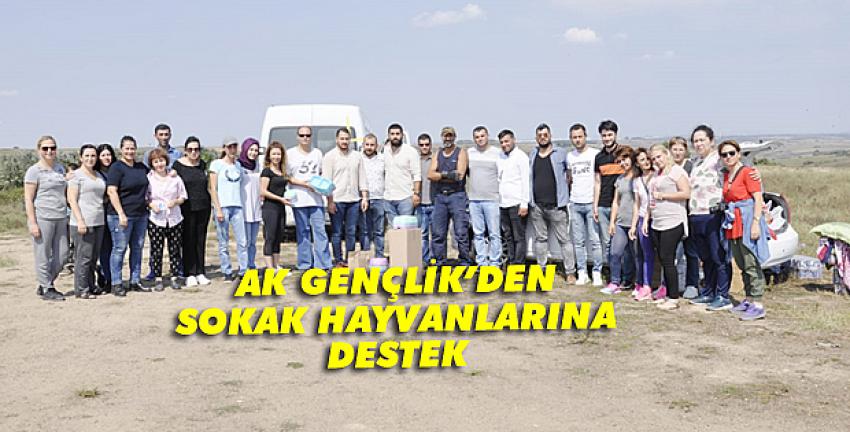 AK Gençlerden sokak hayvanlarına destek