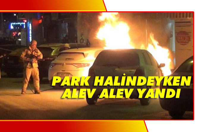 Park halinde alev alev yandı