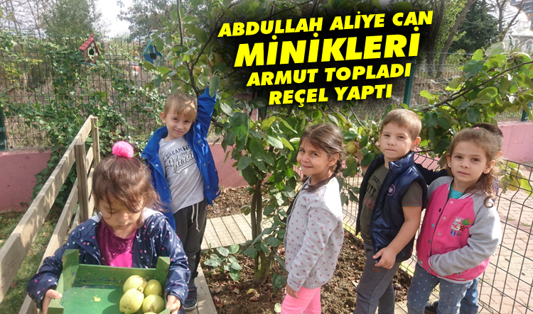 Aliye Can minikleri armut topladı, reçel yaptı