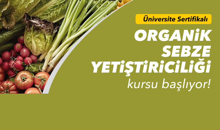 Organik sebze yetiştiriciliği kursu başlıyor