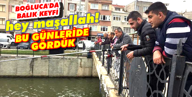 İBB'nin en güzel hizmeti oldu... Boğluca'da balık keyfi