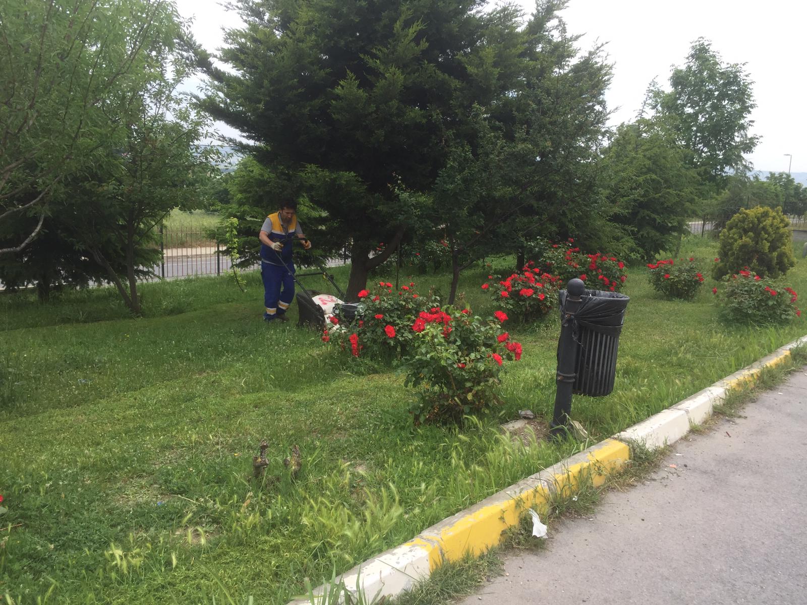 Belediye Ekipleri Saha Çalışmalarını Hızlandırdı