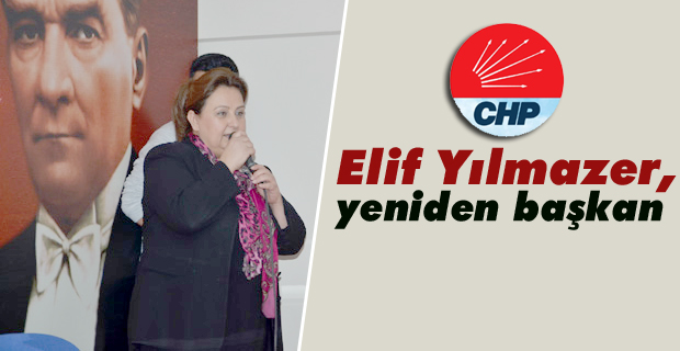 Elif Yılmazer, yeniden başkan seçildi