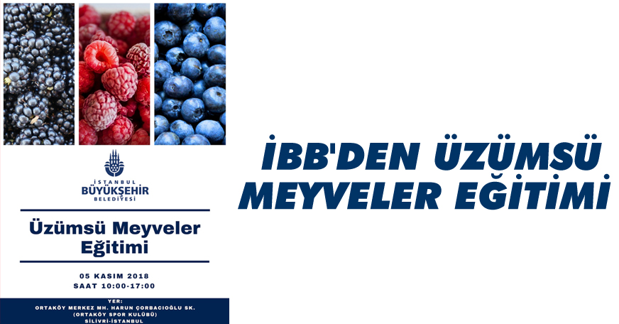 İBB'den üzümsü meyveler eğitimi