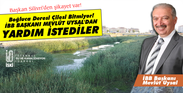 Mevlüt Uysal’dan yardım istediler