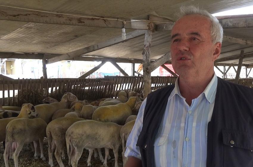 Silivri'de kurban fiyatları ne?
